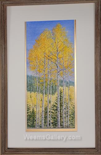 Aspen in conejos country by Dan Stouffer